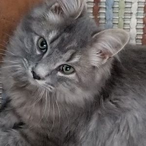 Meet your Posher, Judy